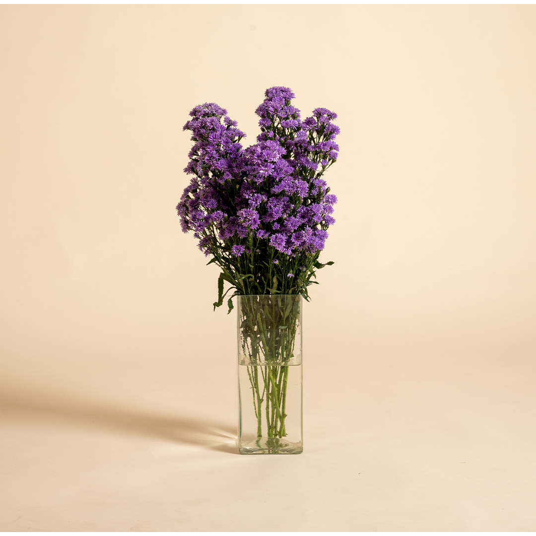 Exclusive Seasonal Picks